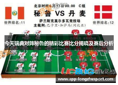 今天瑞典对阵秘鲁的精彩比赛比分揭晓及赛后分析